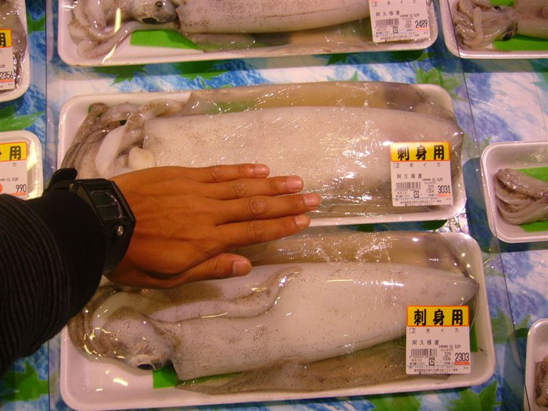 デカイカ