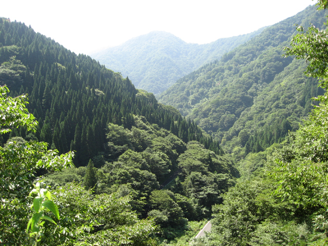 2010.08.22 ☆珍名橋満載! 徳山ダム&R417 ☆目指せ 冠山峠&高倉峠