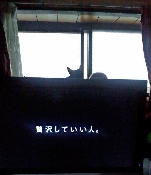かくれんぼ