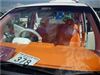 KING OF K-CAR その５４