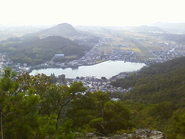 コイの餌やりが楽しい池です。