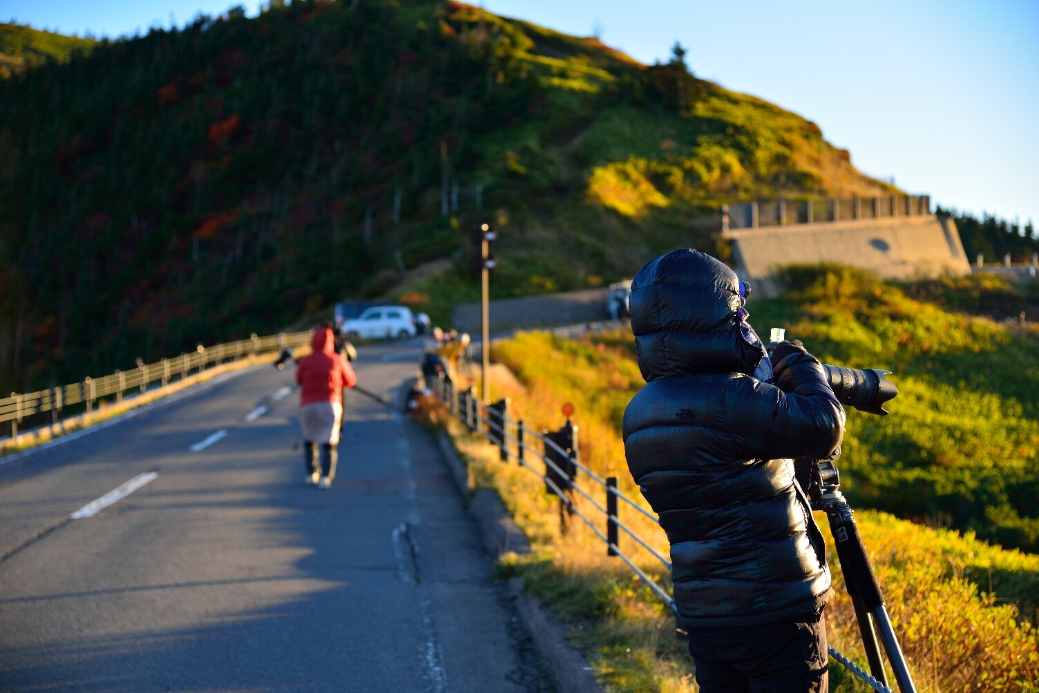 写真