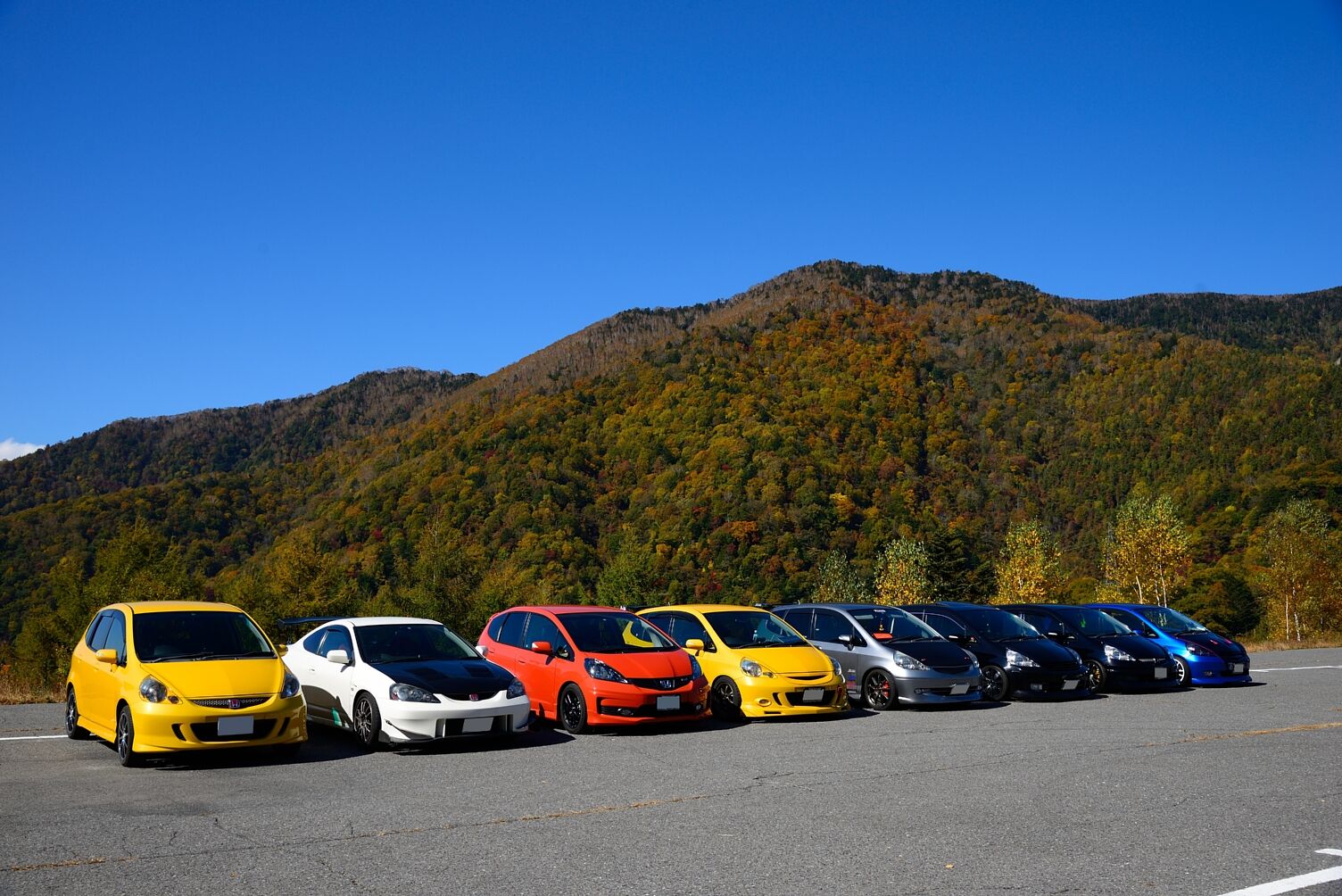 写真