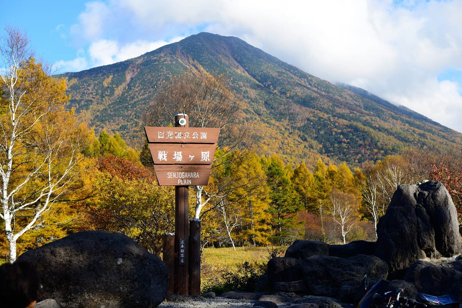 写真