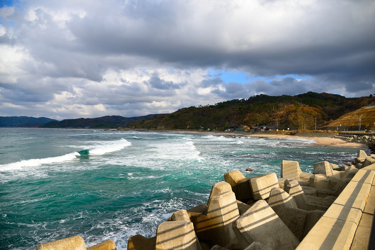 写真