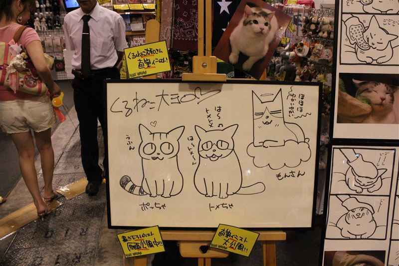 現代の髪型 エレガントくる ねこ 大和 顔