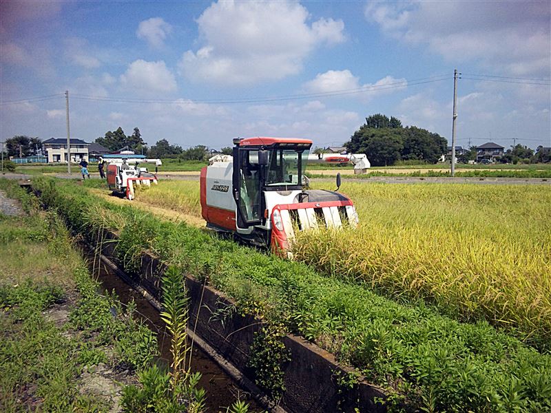 稲刈り開始 まさぴろん ２ndのブログ わんぱく号と超重量爆撃機のページ みんカラ