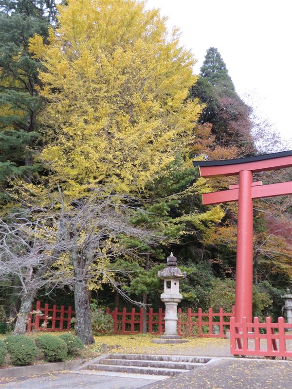 紅葉を見に香取神宮へ えーぴのブログ えーぴのページ みんカラ 紅葉を見に香取神宮へ えーぴのブログ えーぴのページ みんカラ