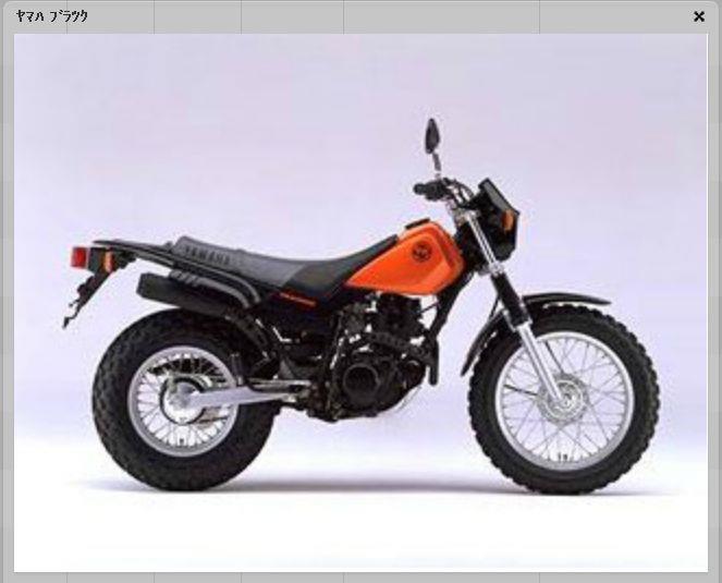 Memorandumのフォトギャラリー「TW200」 | その他 その他 - みんカラ