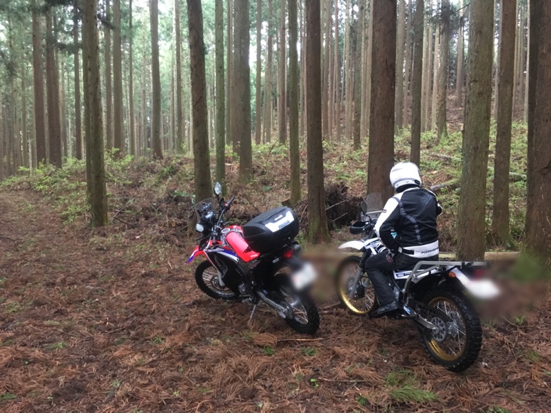 エンフィ Tdd 1のフォトギャラリー 林道開拓その２ 塩田周辺 ホンダ Crf250rally みんカラ