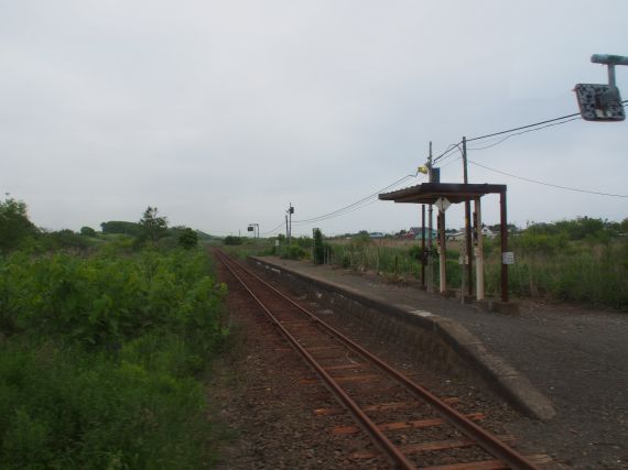 alt