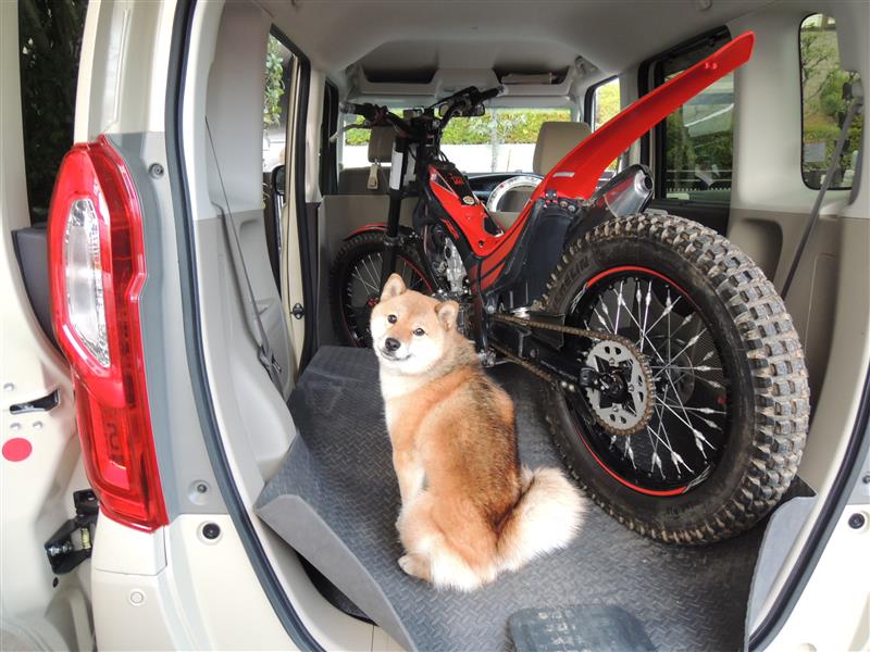 かごか ごのフォトギャラリー N Boxはトランポとして使えそう トライアルバイク積載実験 ホンダ Nボックス みんカラ