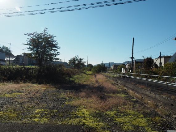 alt