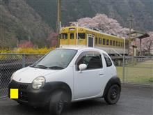2019 桜巡り　その１