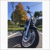 チョイ乗り紅葉
