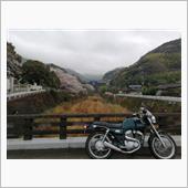 2021 桜🌸巡り