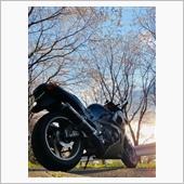 夕焼けと桜とZZR400