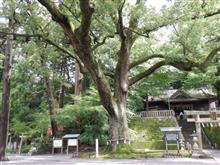 粟ケ岳にて　2024/7/13