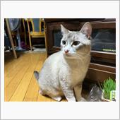 マロン写真館　48