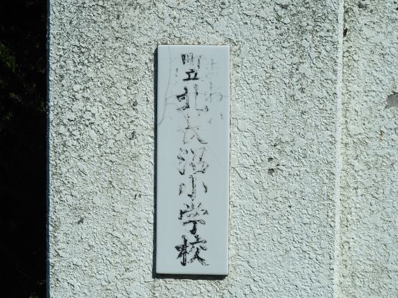 alt