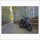 MT 今年初乗り
