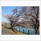 4月12日 2025年お花見ツー