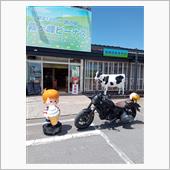 霧ヶ峰ビーナスライン2025.4
