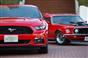 Mustang Owners Club of Japan(244)