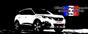 CLUB PEUGEOT SUV 3008 5008 ∞(60)