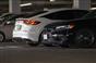 FL civic(1)