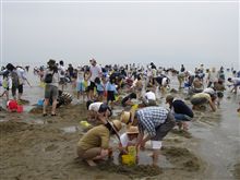 赤穂唐船サンビーチ 潮干狩り
