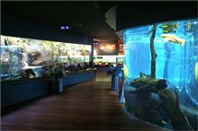 山梨県立富士湧水の里水族館 水族館