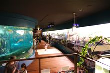 山梨県立 富士湧水の里水族館 静かな森の水族館