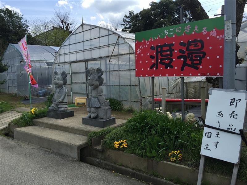 わたなべいちご園 千葉県君津市 館山自動車道 君津ic下車後すぐ おすすめスポット みんカラ