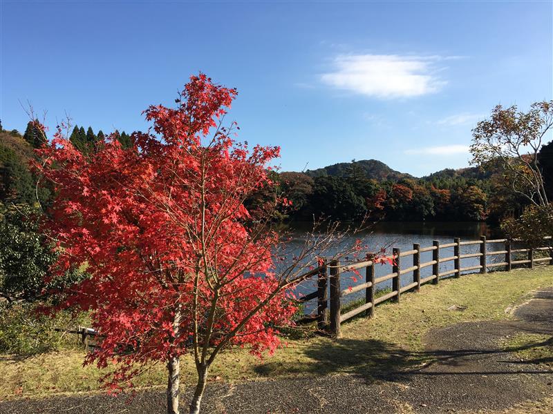 亀山湖亀山湖畔公園／ホームメイト