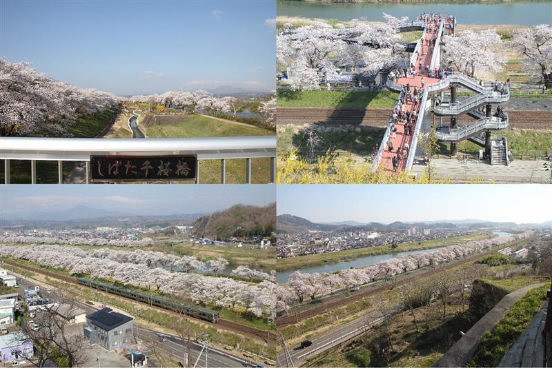 しばた千桜橋 せんおうきょう おすすめスポット みんカラ しばた千桜橋 せんおうきょう おすすめスポット みんカラ