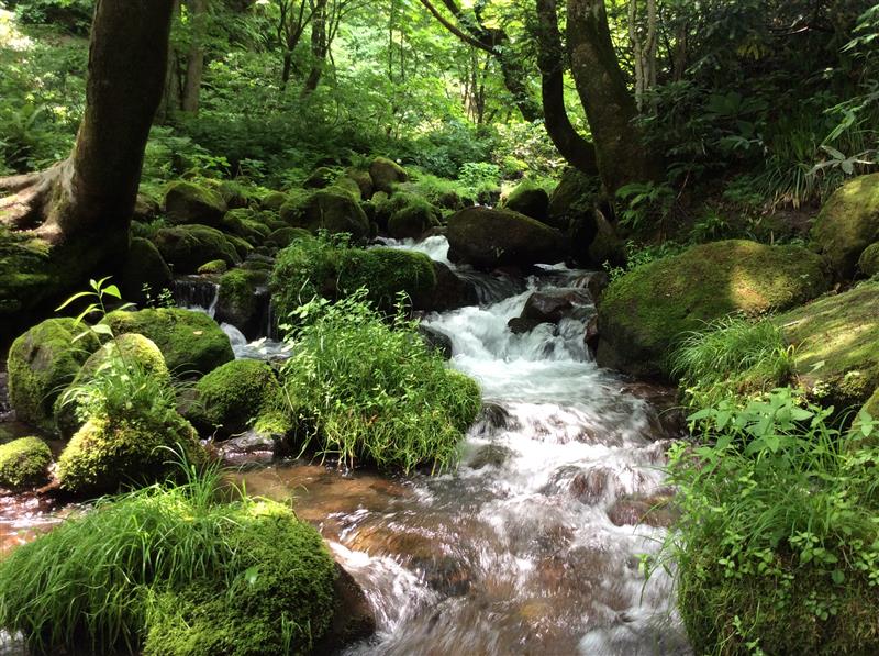 奥大山 木谷沢渓流 おすすめスポット みんカラ