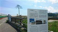 陸前高田市（奇跡の一本松） 奇跡の一本松