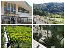 和歌山県植物公園緑化センター おすすめスポット みんカラ