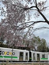 塩狩峠一目千本桜　北海道　和寒町 JR宗谷線塩狩駅前　桜の名所