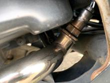 ウインドジャマーズ スネーク・コーン・パイプ 250mmカーボン