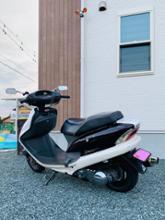 シングルシートカウル ホンダ(純正)(ホンダジュンセイ)のボディ