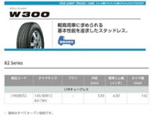 BRIDGESTONE W300