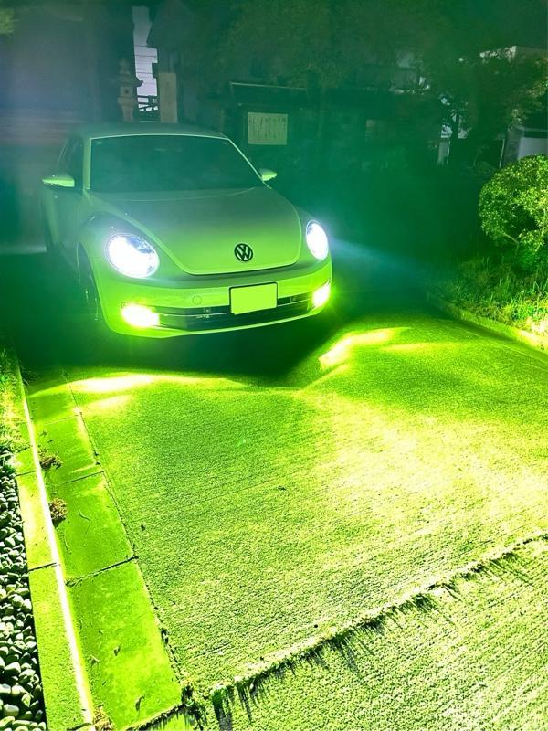LEDフォグ H8 H11 H16 ライムグリーン ロイヤルガード零