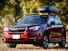 Pacific2 600 THULE(スーリー)のキャリア・ルーフボックスの