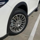 ECO FORME SE-12 BRIDGESTONE(ブリヂストン)のホイールの口コミ