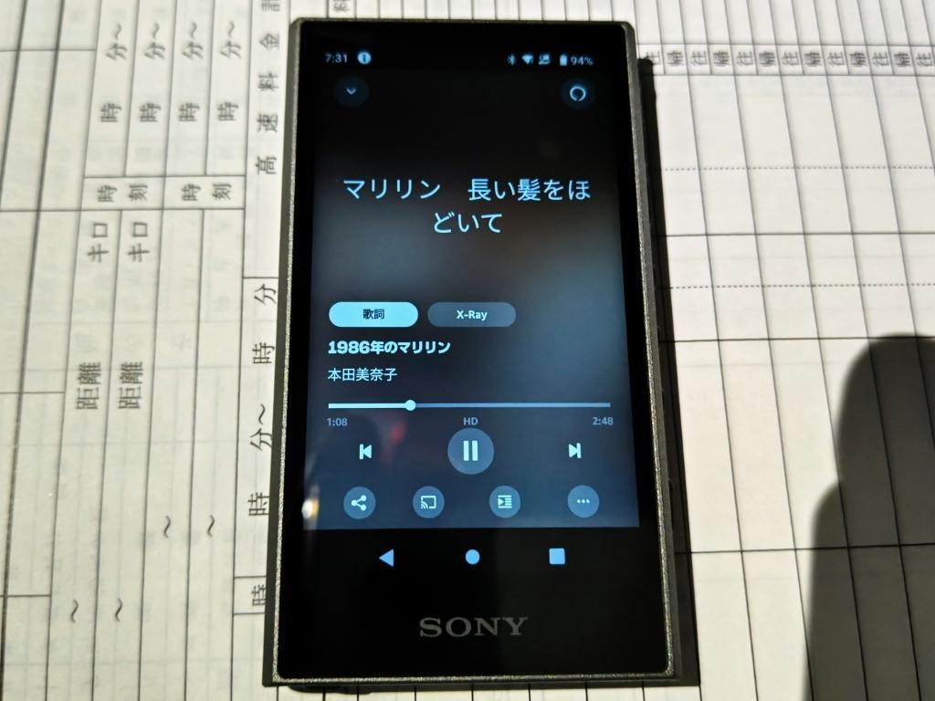 SONY WALKMAN NW-A306