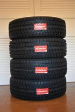 BLIZZAK DM-V3 265/65R17