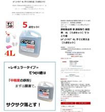 洗車洗剤屋さん てつとり君 すぐに使える5点セット 鉄粉除去剤