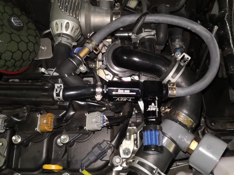 T-REV BP | PRODUCTS | PROVA